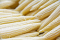 50 Seeds Japanese Hulless White Baby Corn Popcorn – Heirloom Zea mays