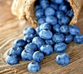 Dwarf Top Hat Blueberry Seeds (Vaccinium corymbosum) - 100 Seeds, Low Bush, Sweet Edible Fruit