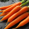 Danvers Carrot Seeds - 300 Seeds, Daucus carota - Heirloom, Deep Orange Roots, Non-GMO