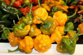 Orange Scotch Bonnet Pepper Seeds - 20 Heirloom Non-GMO Capsicum chinense