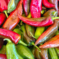 Anaheim Pepper Seeds – Capsicum annuum, Mild & High-Yielding (25 Seeds)