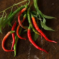 Cayenne Long Thin Pepper Seeds - Heirloom, Non-GMO, 30,000-50,000 Scoville