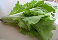 Frilly Leaf Pak Choi Fun Jen Hybrid Seeds (Brassica rapa) – 180 Seeds