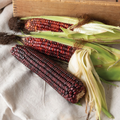 Corn Bloody Butcher Seeds – 5g Heirloom Zea mays, Deep Red Kernels, High Yield