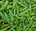 Hatch Rattlesnake Hot Pepper Seeds – 250mg, Medium Heat, High Yield