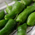 Padron Pepper Seeds - Heirloom, Non-GMO | 85 Days to Maturity