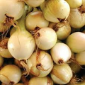 Walla Walla Sweet Onion Seeds (Allium cepa) - 250 mg Heirloom Seeds for Planting