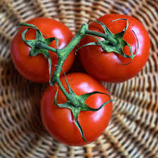 Floradel Tomato Seeds – Heirloom Indeterminate, 100mg for Planting