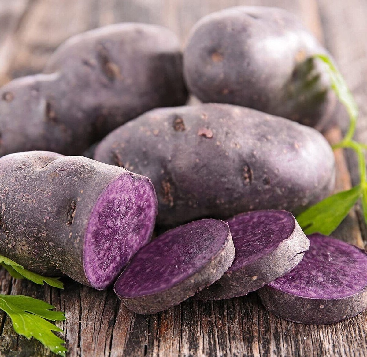 Blue Adirondack Seed Potatoes - 500g USDA Certified Purple Potatoes for Planting