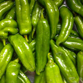 Anaheim Hot Pepper Seeds - Heirloom Capsicum annuum, Mild Heat, High Yield (300mg)