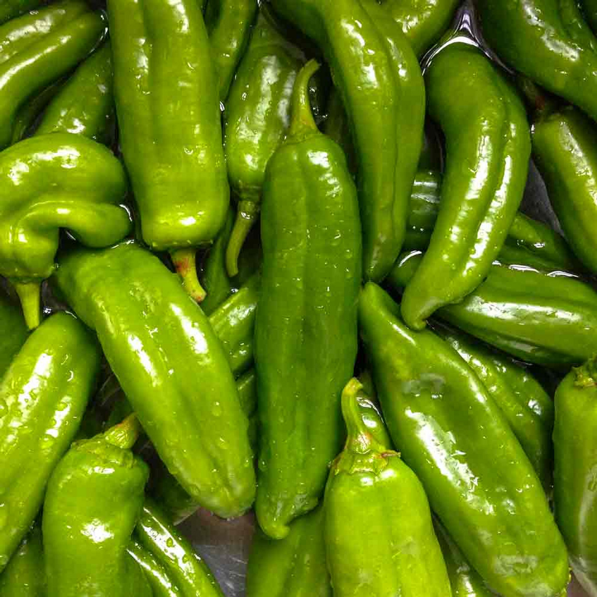 Anaheim Hot Pepper Seeds - Heirloom Capsicum annuum, Mild Heat, High Yield (300mg)