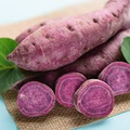 All Purple Sweet Potato Starter Plant - 5 lb Organic Japanese Variety