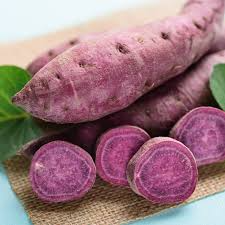 All Purple Sweet Potato Starter Plant - 5 lb Organic Japanese Variety