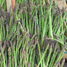 Jersey Giant Asparagus Bare Root Crowns - 10 Live 2-Year Starter Plants