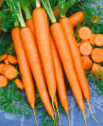 Carrot Tendersweet Seeds (Daucus carota) - 500mg ~300 Seeds, Coreless, Heirloom