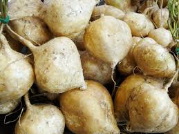 True Jicama Seeds - 5 Seeds for Planting | Pachyrhizus erosus