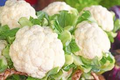 Self-Blanching Cauliflower Seeds – 1 Gram | Brassica oleracea