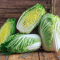 Chinese Heading Cabbage Michihli Seeds – Heirloom Brassica rapa pekinensis, 500mg