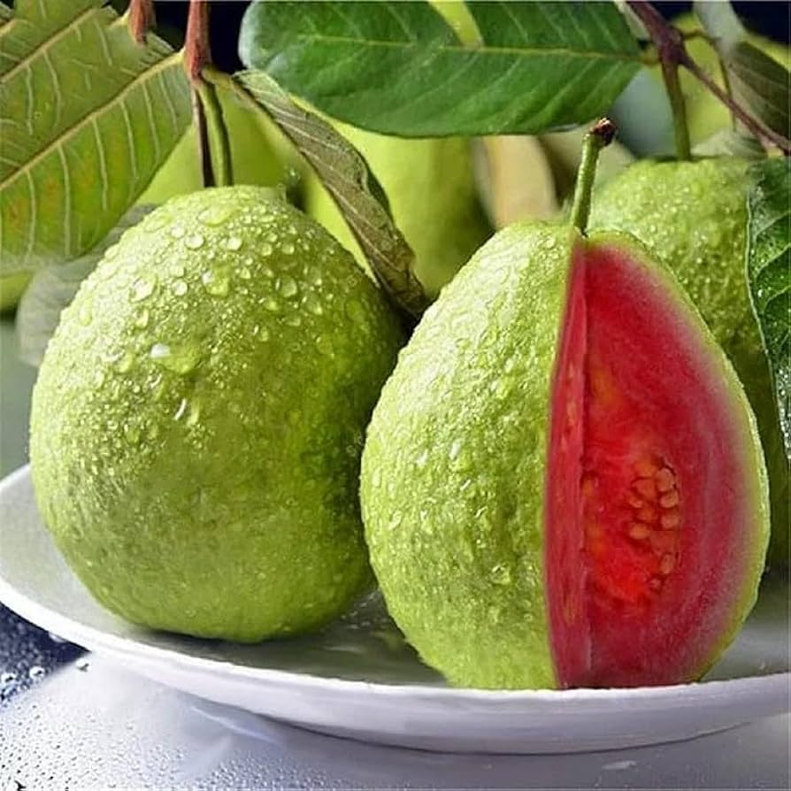 50 Seeds | Tropical Strawberry Guava (Psidium cattleianum) - Pink Guava