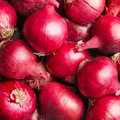 Onion Red Grano Seeds - Allium cepa, Heirloom Red Onion (250 mg) for Planting