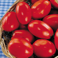 San Marzano Short Vine Tomato Seeds - Indeterminate Heirloom, 30 Seeds
