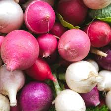 Easter Egg Radish Seeds - 200 Count | Colorful Mix, Crisp & Mild (Raphanus sativus)