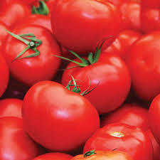 Floradade Tomato Seeds (Solanum lycopersicum) - Heat-Tolerant, High-Yielding - 50 Seeds