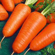 Chantenay Red Cored Carrot Seeds | Daucus carota - Heirloom (1g, ~600 seeds)
