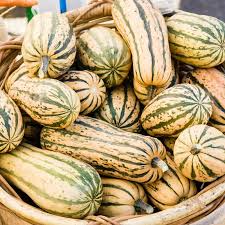 Delicata Squash Seeds - Non-GMO Heirloom, 100 Days to Maturity, 1-3 lb Fruits