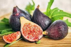 Ficus Black Mission Fig Tree Starter Plant (Ficus carica) - Indoor/Outdoor, Edible Fruit