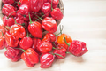 25 Habanero Pepper Seeds – Capsicum chinense – Extra-Hot Heirloom, Non-GMO, 100,000–350,000 Scoville