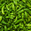 Shishito Pepper Seeds - Heirloom, Non-GMO, 65 Days to Maturity